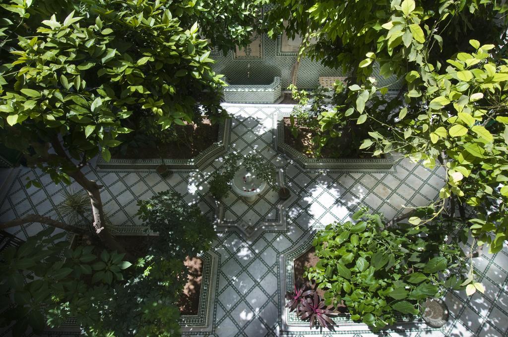 Riad Ravel 4*